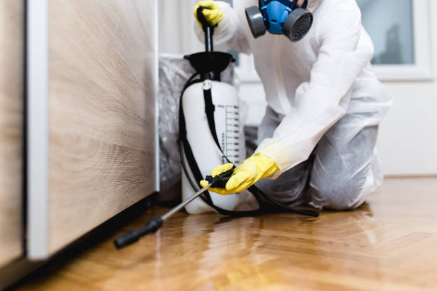 Best Cockroach Control Services  in Vidalia, LA
