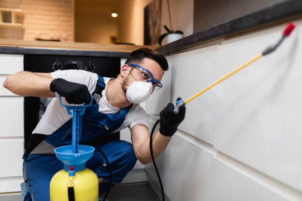 Best Mosquito Control Services  in Vidalia, LA