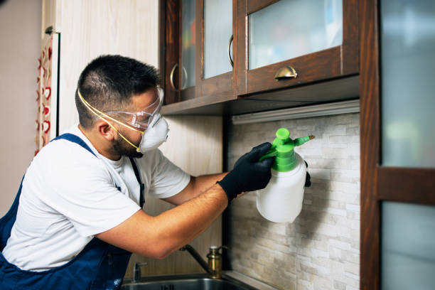 Best Pest Inspection Near Me  in Vidalia, LA