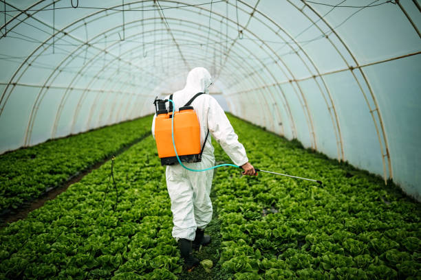 Best Commercial Pest Control Services  in Vidalia, LA