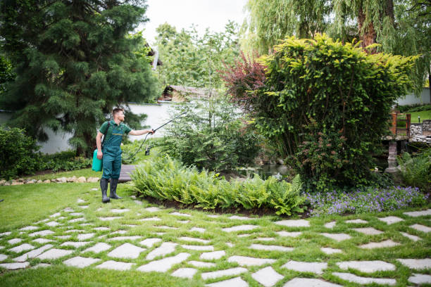 Wasp Removal Services in Vidalia, LA