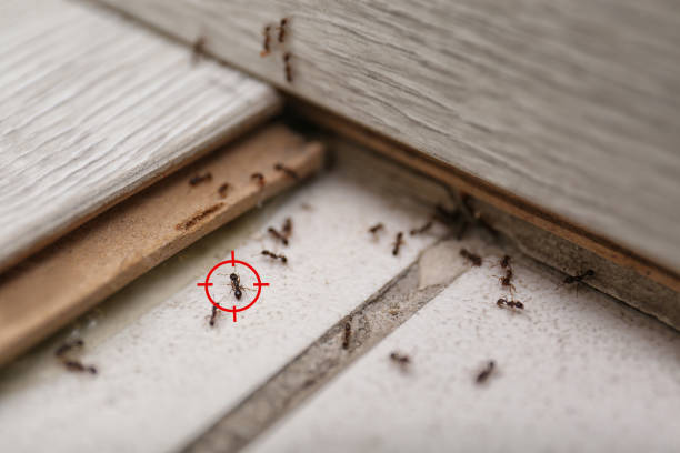 Pest Control Cost in Vidalia, LA