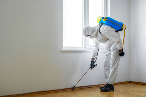 Best Bed Bug Extermination  in Vidalia, LA