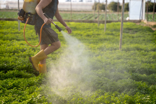 Best Pest Removal Services  in Vidalia, LA