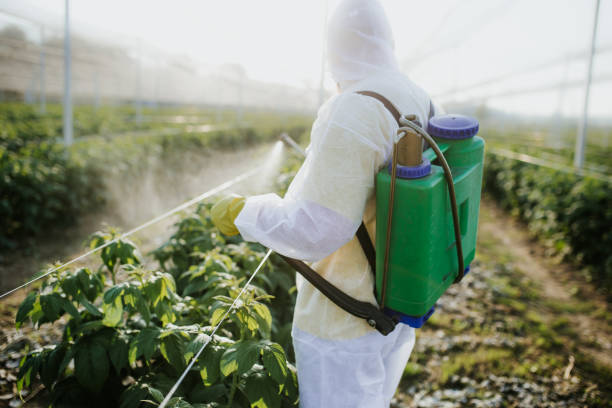 Best Best Pest Control Near Me  in Vidalia, LA